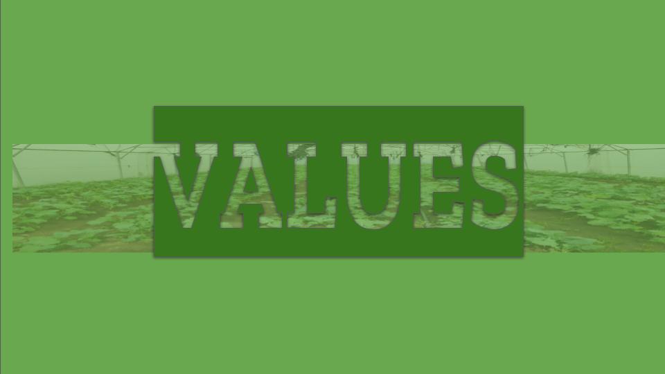 inhlakulo npo values